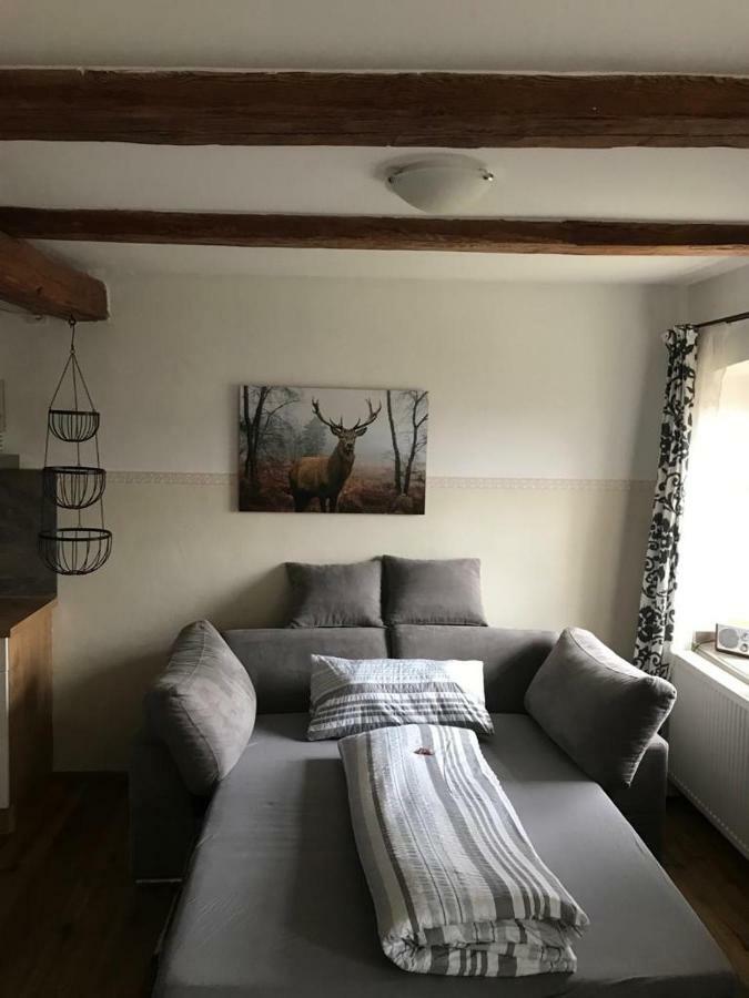Gestuet Tiefenhof Lägenhet Nittenau Exteriör bild